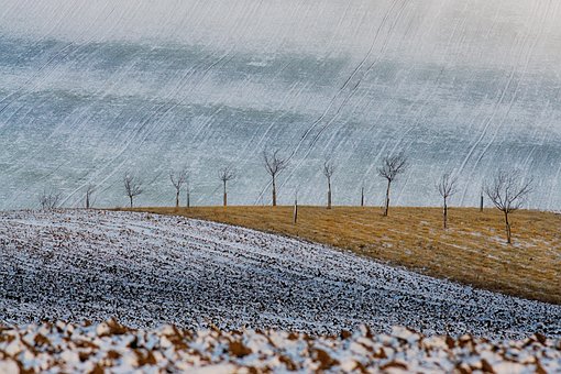 Detail, Zima, Zimní