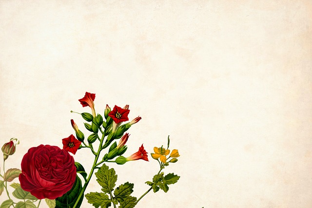 Blomst, Blomster, Baggrund