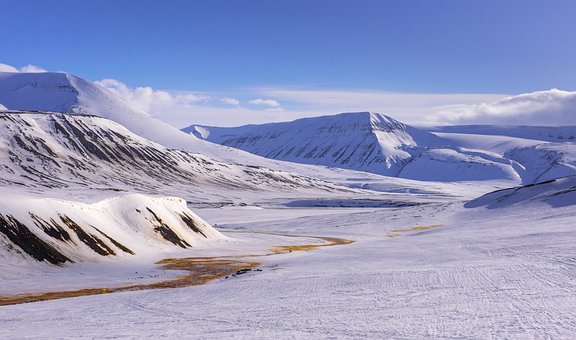 Free Winter Snow photo and picture