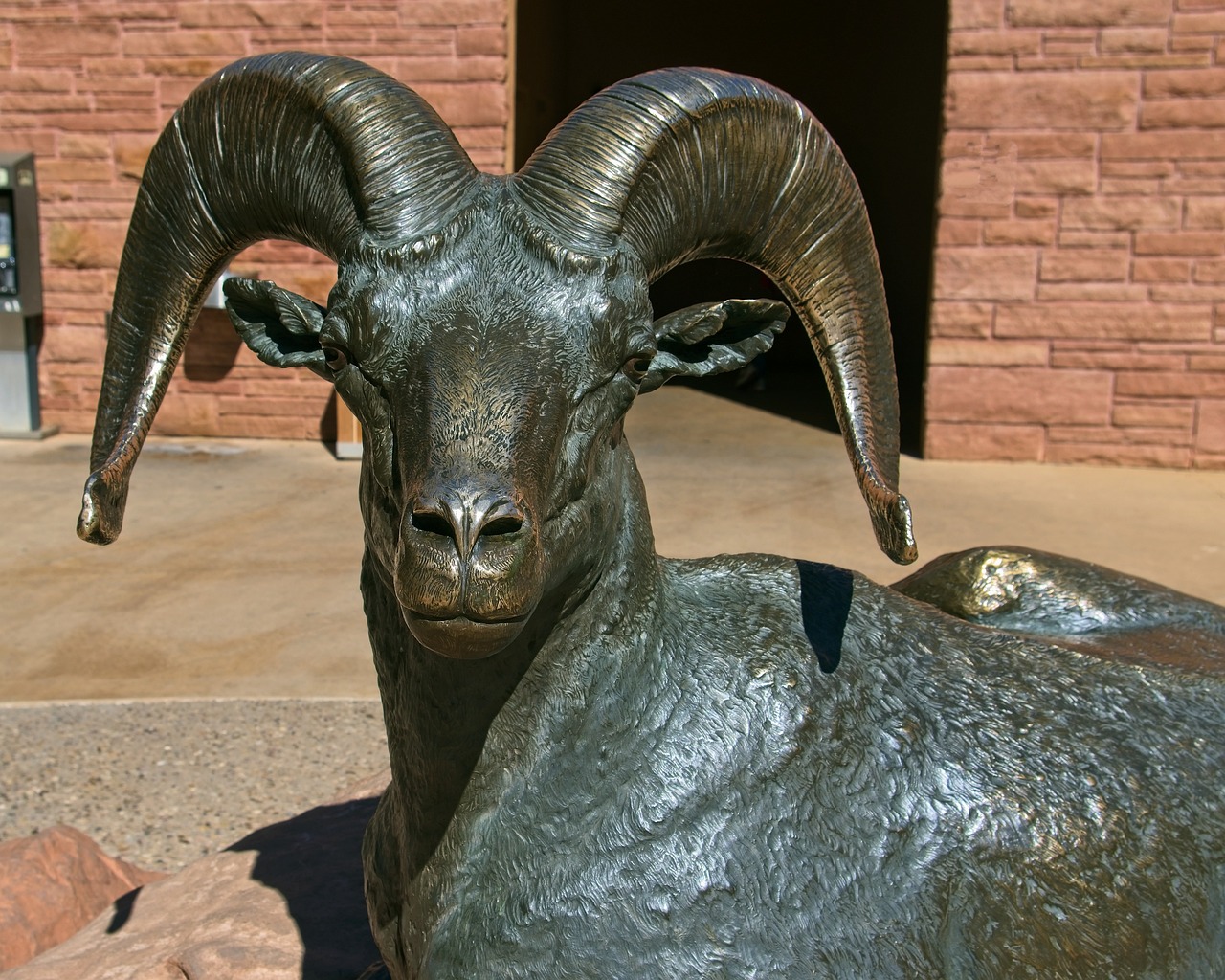 100+ Free Bighorn Sheep & Ram