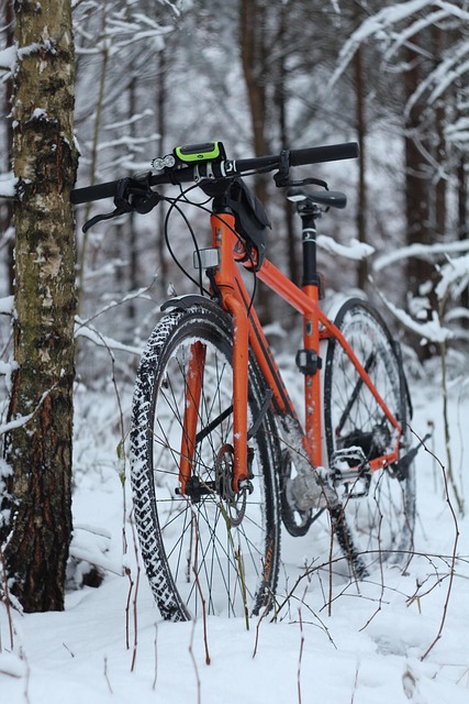 Free Bike Winter photo and picture