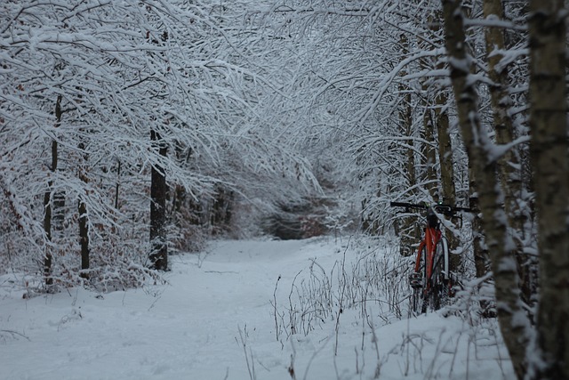 Free Bike Winter photo and picture