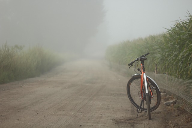 Free Bike Field photo and picture