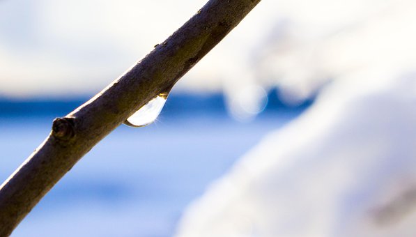 Miste, Vann, Natur, Grenen, Snø