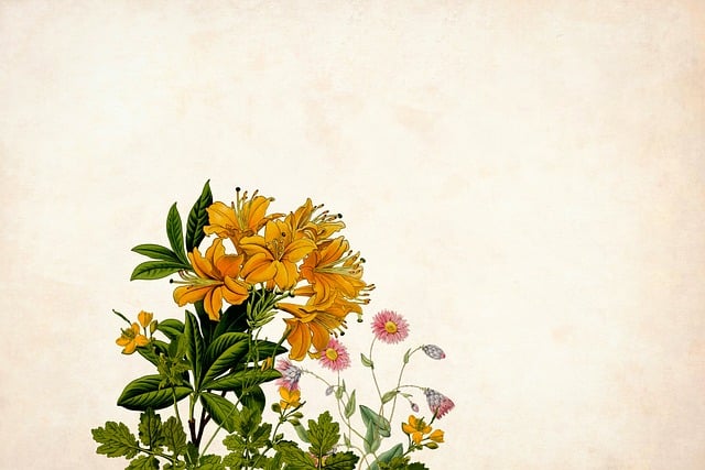 Free flower floral background illustration
