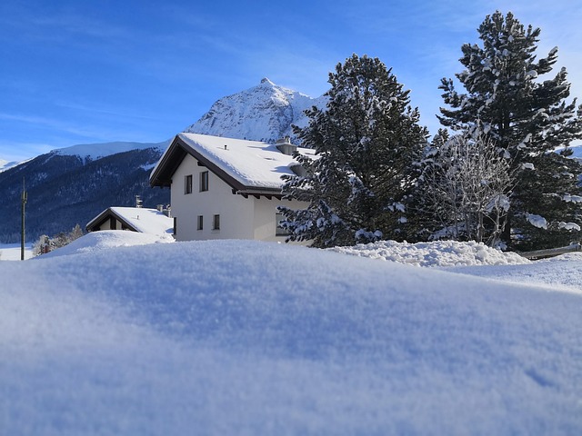Free Snow Sun photo and picture