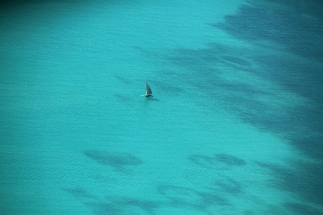 Free Boat Sea photo and picture