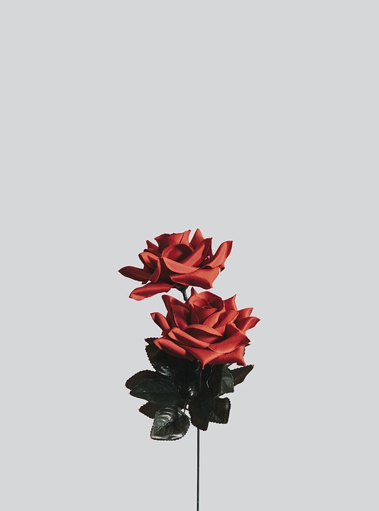 Kumpulan Wallpaper Cantik Android HD Paling Baru Kumpulan Wallpaper Cantik Android HD Paling Baru