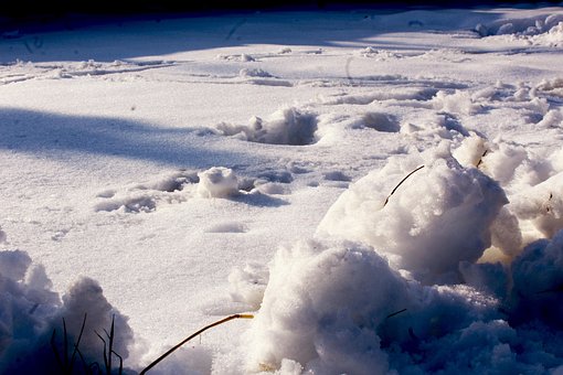 Free Snow Blue photo and picture