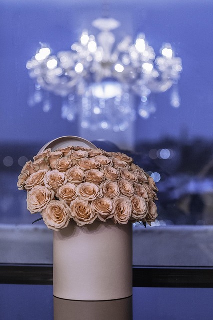 Rosas, Rosas Rosadas, Rosado, Flores