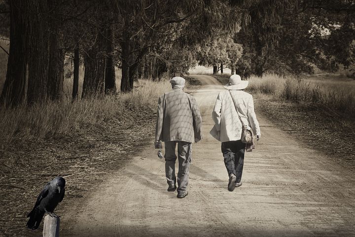 Plus de 1 000 images de Personnes Âgées et de Vieux - Pixabay