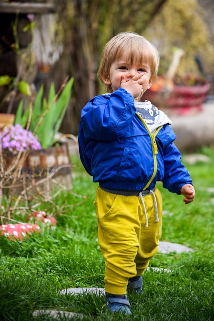 Free Child Smile photo and picture