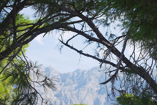 Free Croatia Nature photo and picture