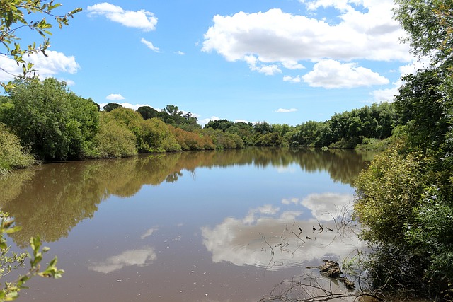 Free Water Nature photo and picture