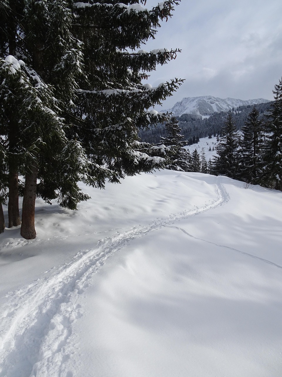 冬天 雪 冬天散步 - Pixabay上的免费照片 - Pixabay