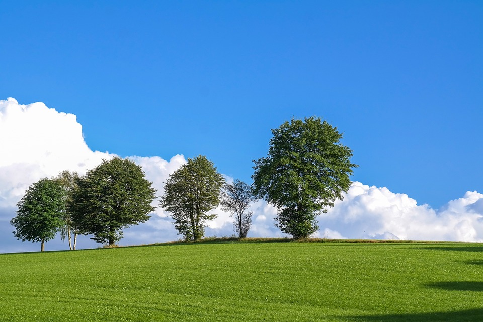 62+ Gambar Awan Dan Rumput Paling Bagus 62+ Gambar Awan Dan Rumput Paling Bagus