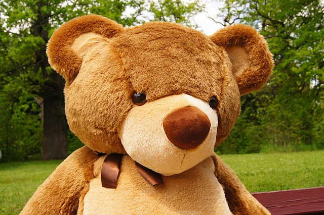 Free Teddy Bear Plush photo and picture