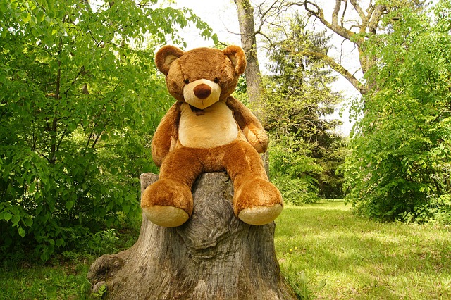 Free Teddy Bear Plush photo and picture