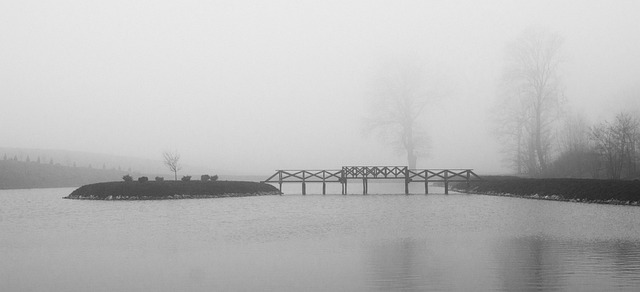Free Joint Bridge photo and picture