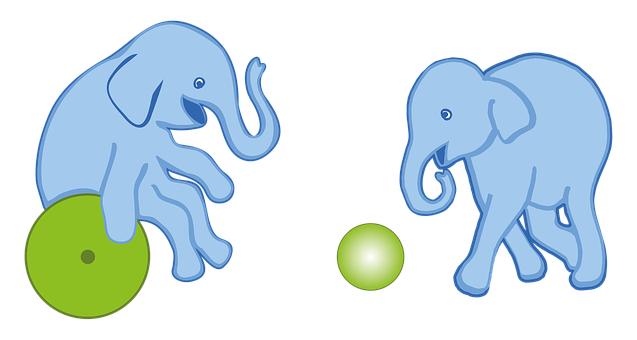 Integración, Inclusión, Elefante