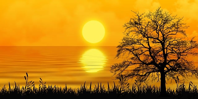 Free sunset nature fantasy illustration