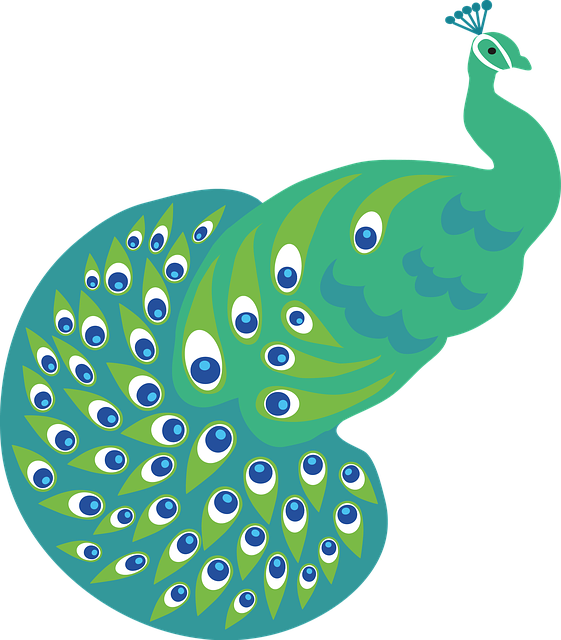 Pavo Real, Geométrico, Belleza, Ojos