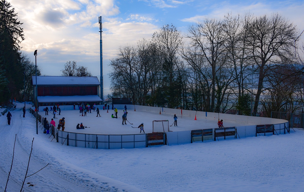 Ice Skating Rink Winter Cold Free photo on Pixabay Pixabay