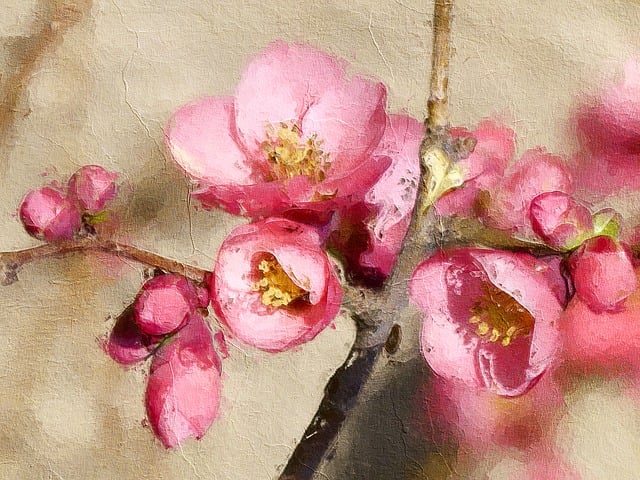 Free flower nature tree illustration