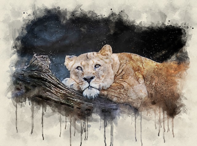 León, Leona, Mundo Animal, Depredador