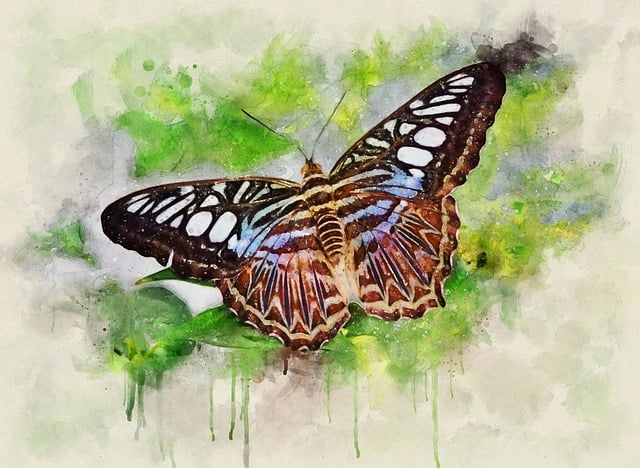 Download free HD stock image of Butterfly Tropical Butterfly Free butterfly tropical butterfly exotic illustration