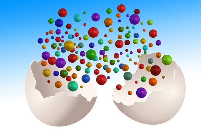 Free eggs shell eggshell illustration