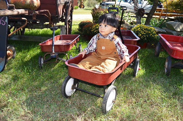 Free Wagon Kid photo and picture