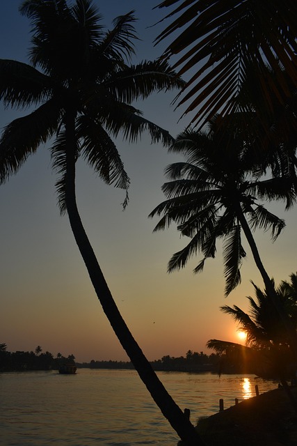 Free Alleppey Alappuzha photo and picture