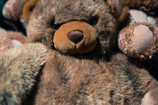 Free Teddy Bear photo and picture