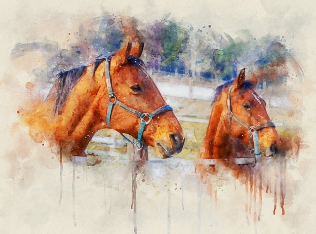 Free horses nature brown illustration