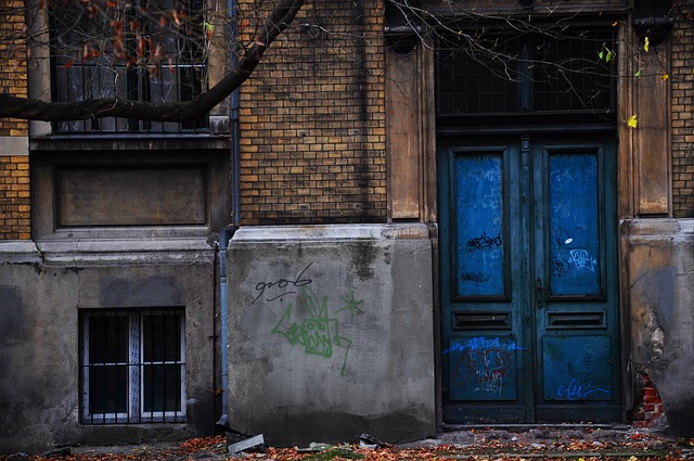 Free Blue Door The Door photo and picture