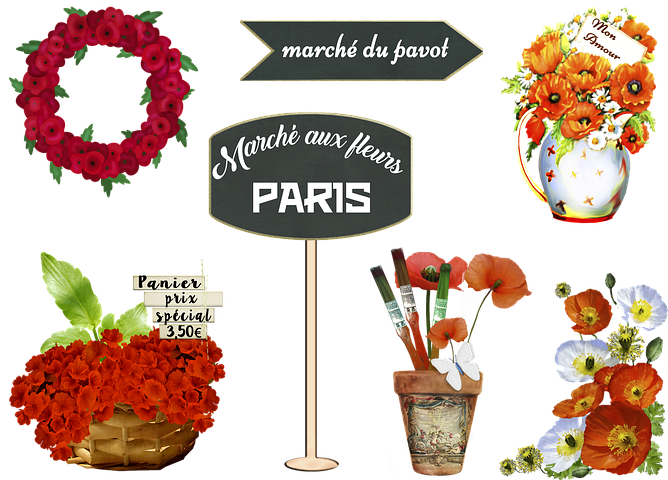 Discover and download free images · Pixabay