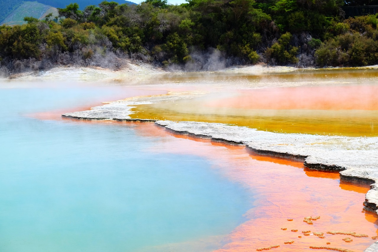 로토루아 (Rotorua) 이미지
