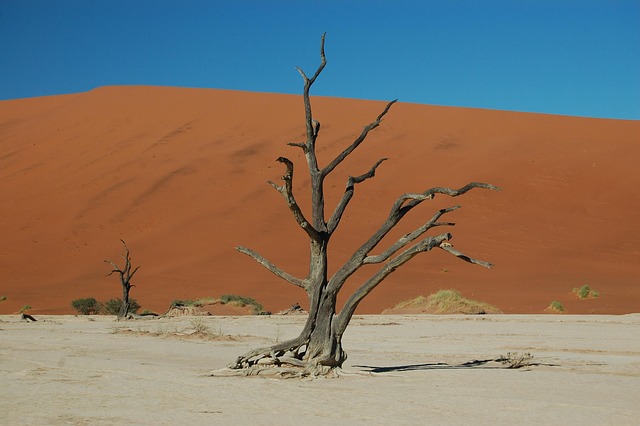 Free Desert Drought photo and picture