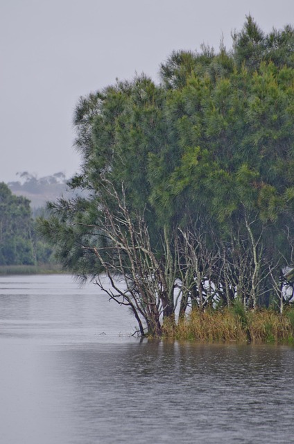 Free Lake Bay photo and picture
