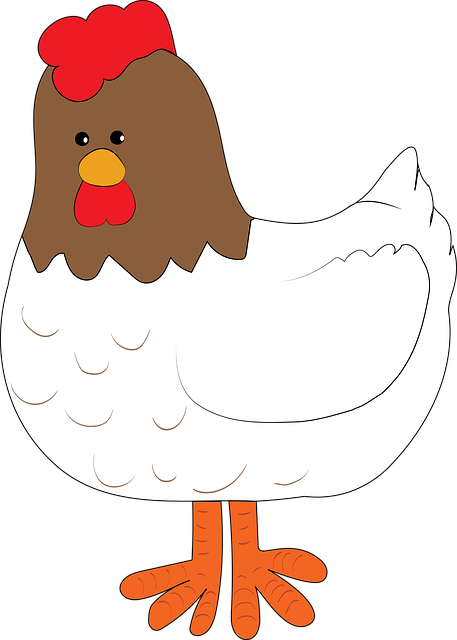 Free Chicken Farm illustration and picture