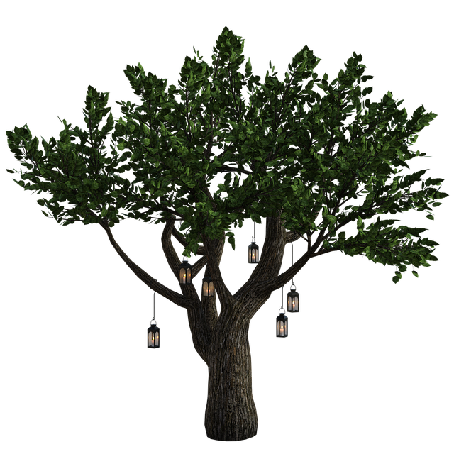 Free tree lanterns fantasy illustration