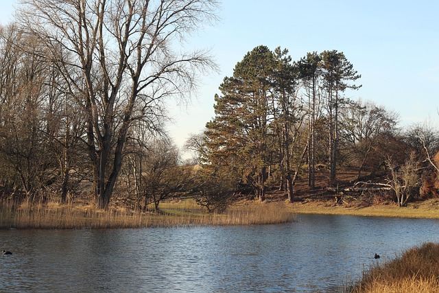 Free Landscape Water photo and picture
