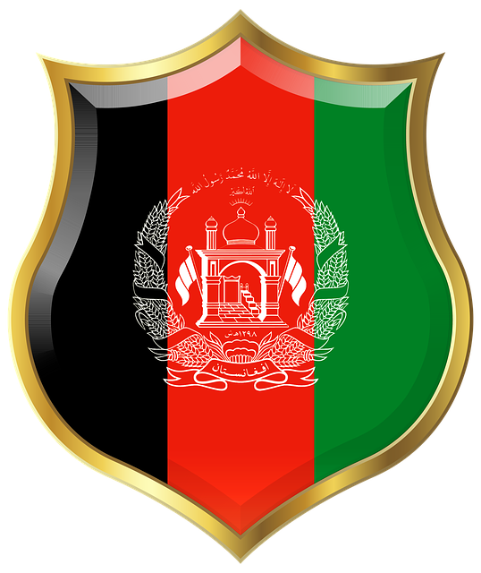 Free shield tajikistan afghanistan illustration