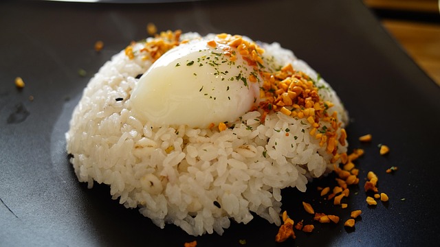 Free Japan Food photo and picture