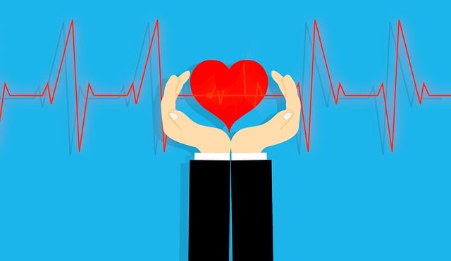 Herz, Die Gesundheit, Schutz, Medizin
