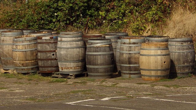 Free Wine Barrels photo and picture