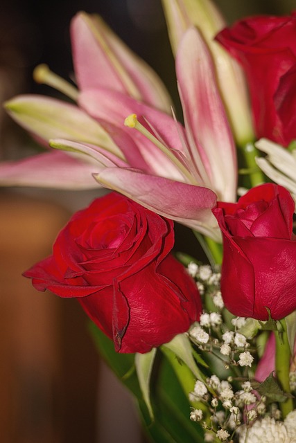 Blomster, Natur, Blomst Tapet