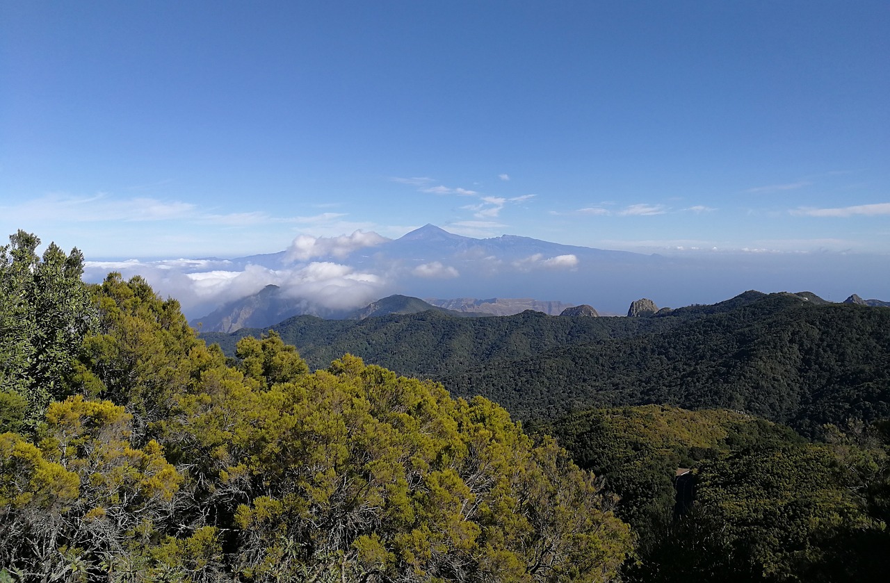 Free La Gomera Garajonay National Park Top photo and picture