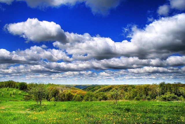 Free Clouds Bluff photo and picture